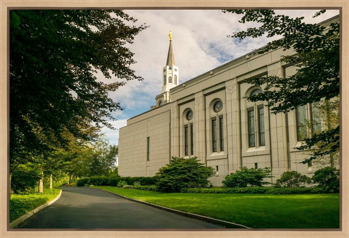Boston Temple Trees Of Life Panoramic Gallery Wrap