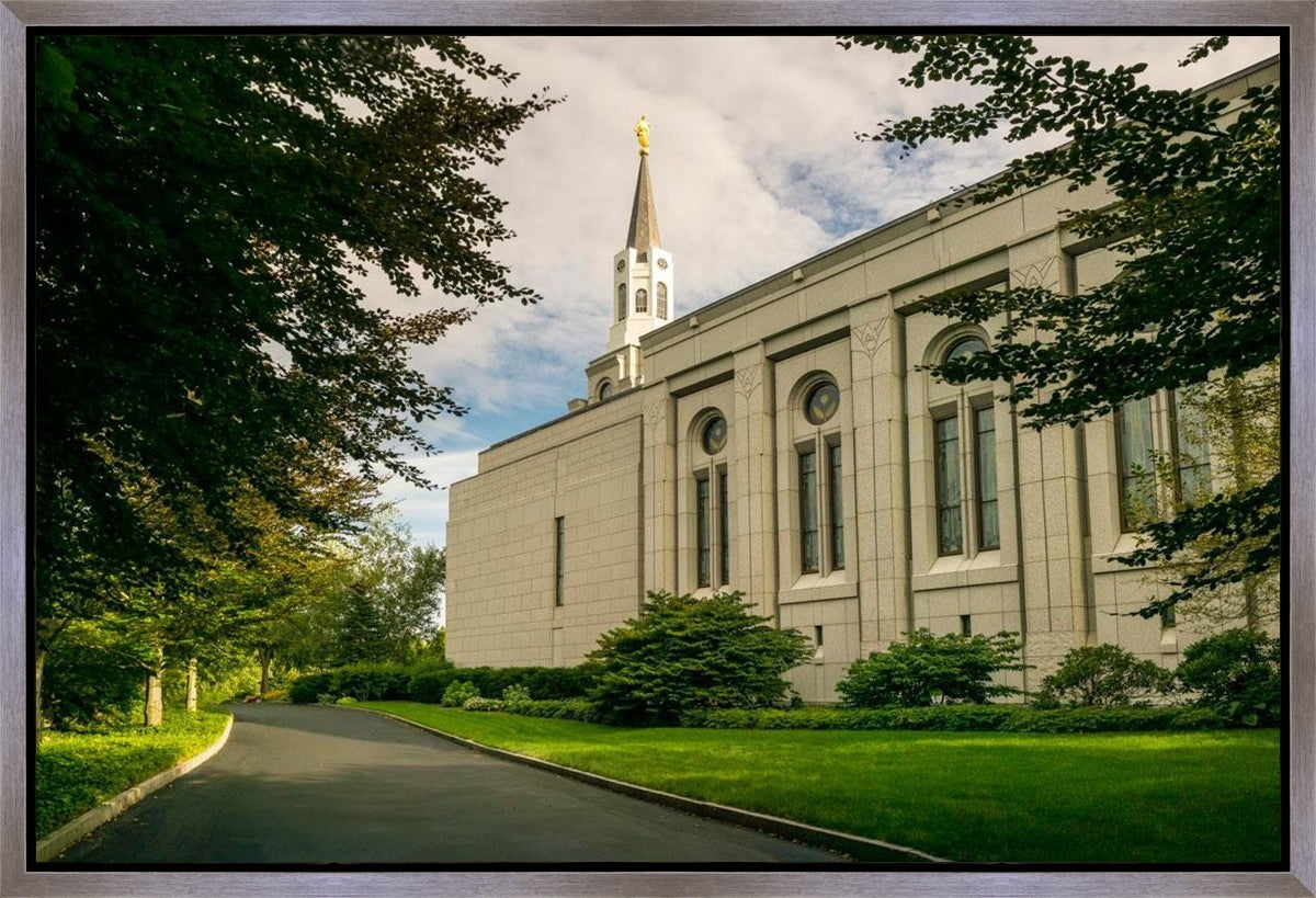 Boston Temple Trees Of Life Panoramic Gallery Wrap