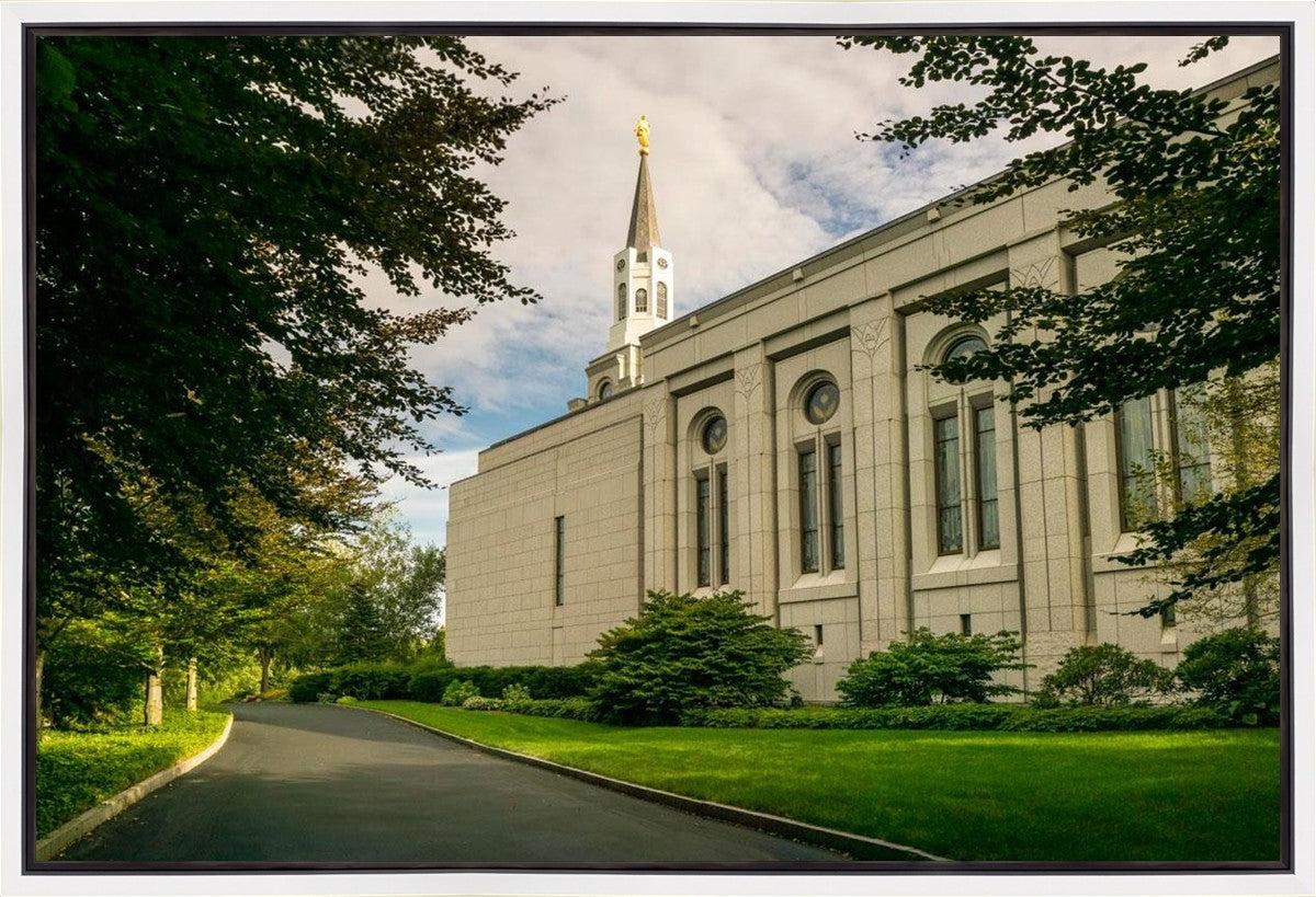 Boston Temple Trees Of Life Panoramic Gallery Wrap