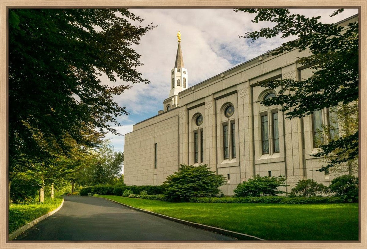 Boston Temple Trees Of Life Panoramic Gallery Wrap