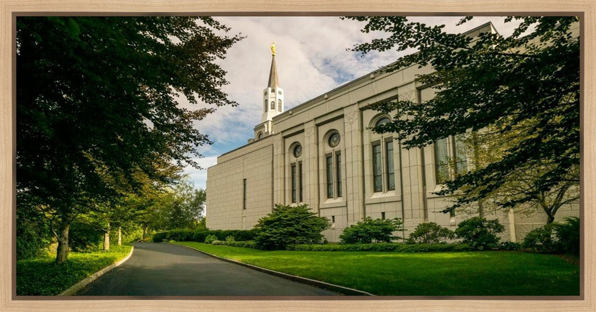 Boston Temple Trees Of Life Panoramic Gallery Wrap