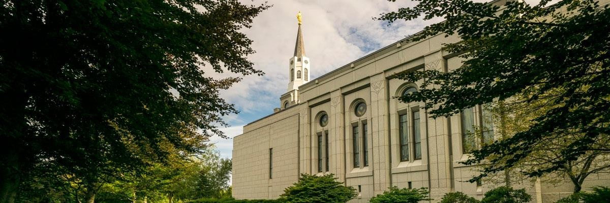 Boston Temple Trees Of Life Panoramic Gallery Wrap