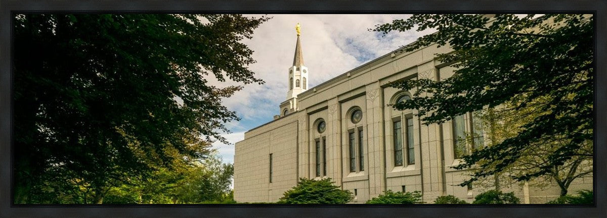 Boston Temple Trees Of Life Panoramic Gallery Wrap