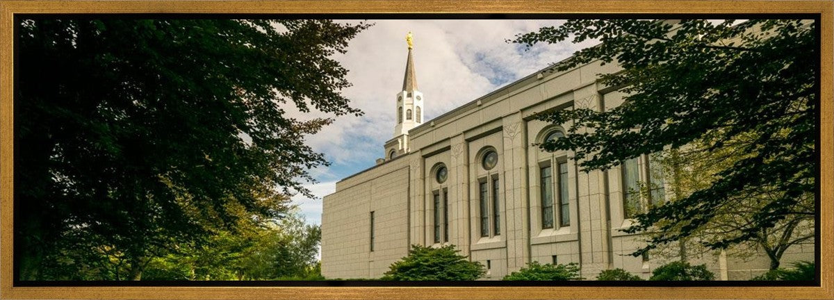 Boston Temple Trees Of Life Panoramic Gallery Wrap