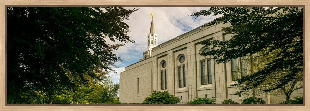 Boston Temple Trees Of Life Panoramic Gallery Wrap
