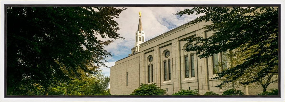 Boston Temple Trees Of Life Panoramic Gallery Wrap