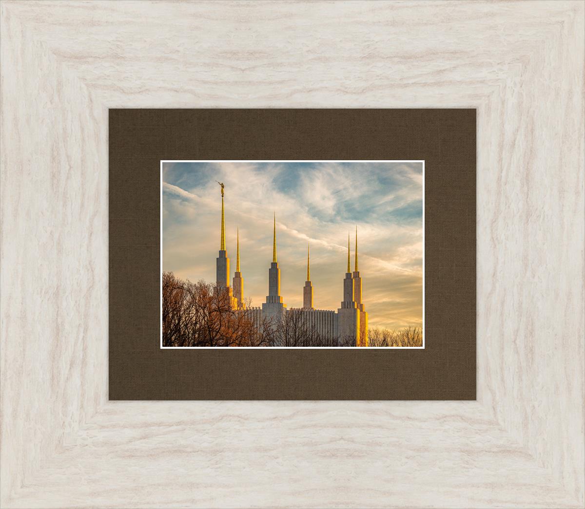 Golden Hour Washington DC Temple