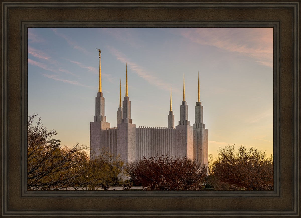 Washington DC Fall Skies