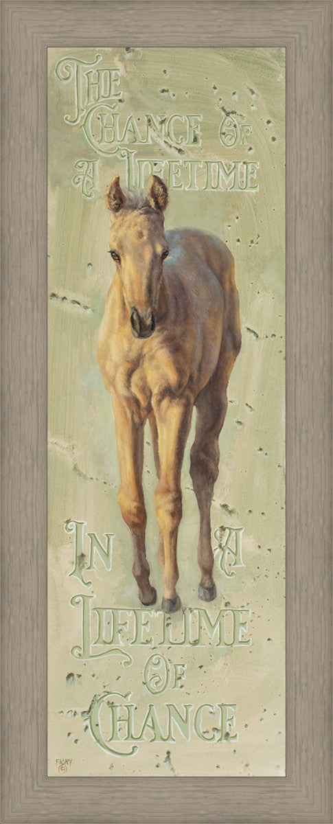 The Chance of a Lifetime