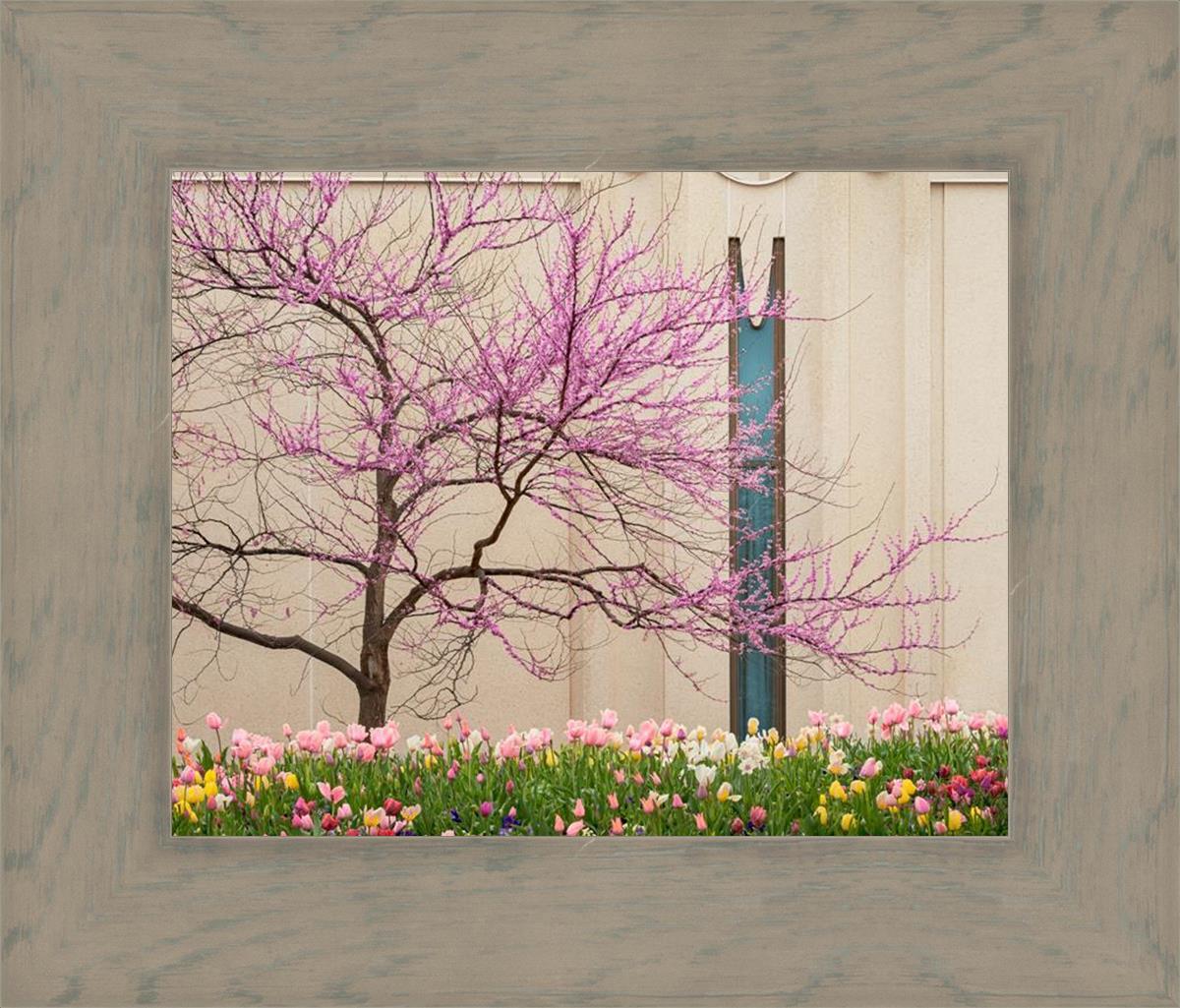 Jordan River Awakening