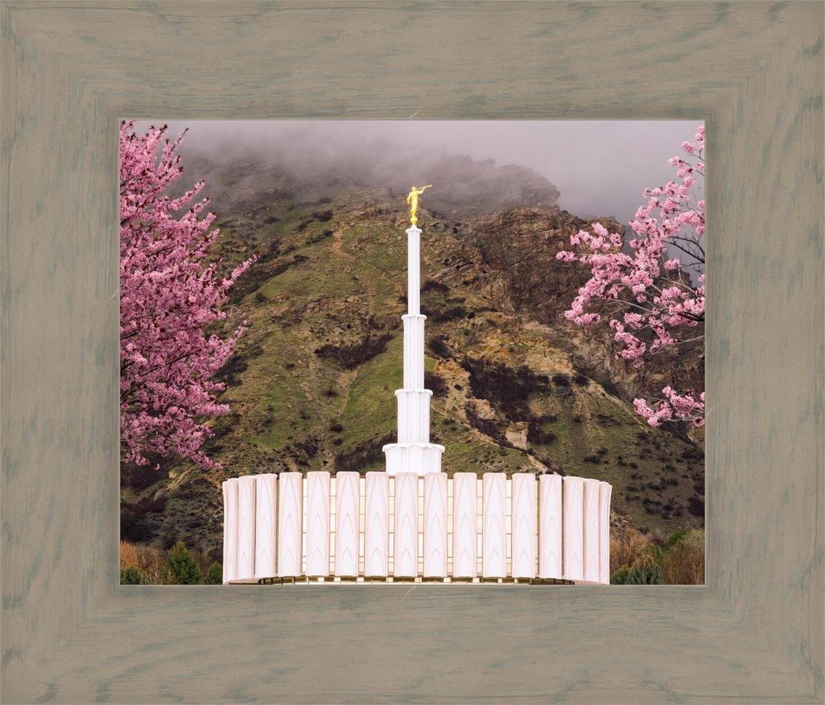 Provo Oncoming Storm