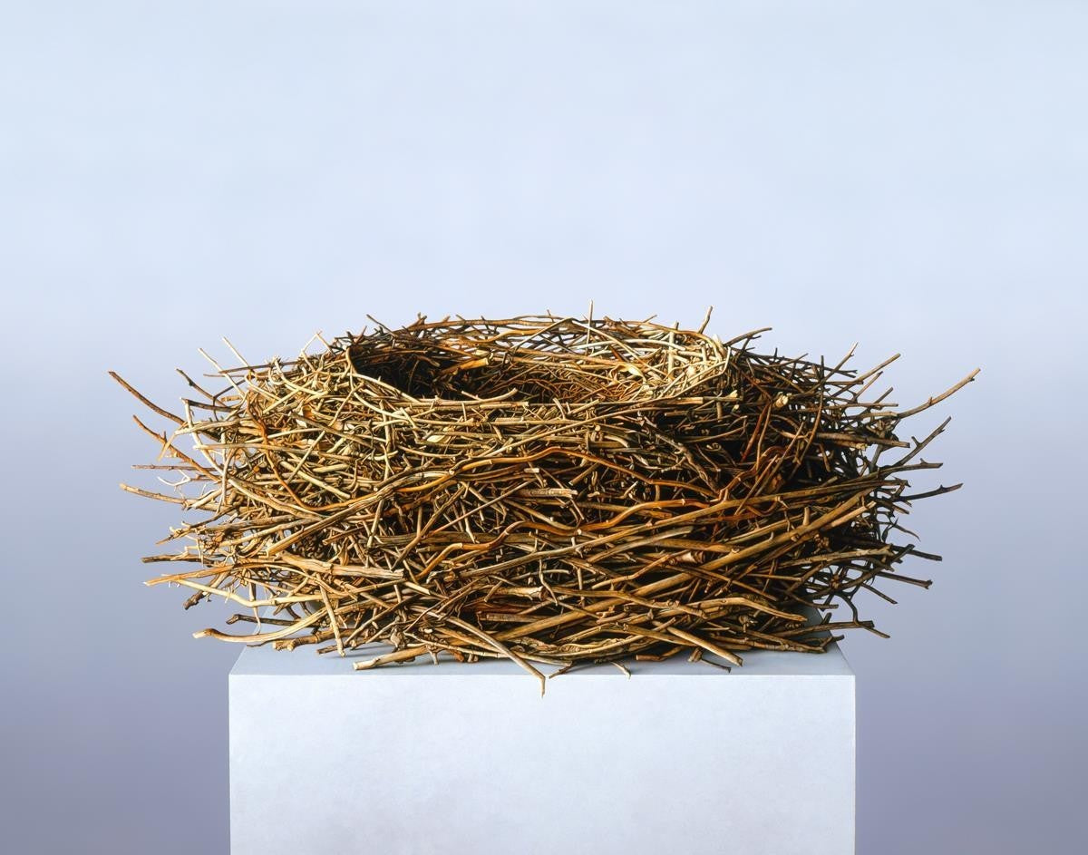 Nest Gallery Wrap