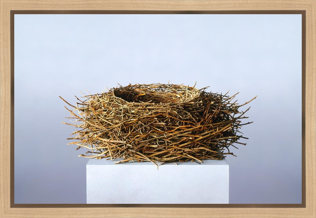 Nest Gallery Wrap