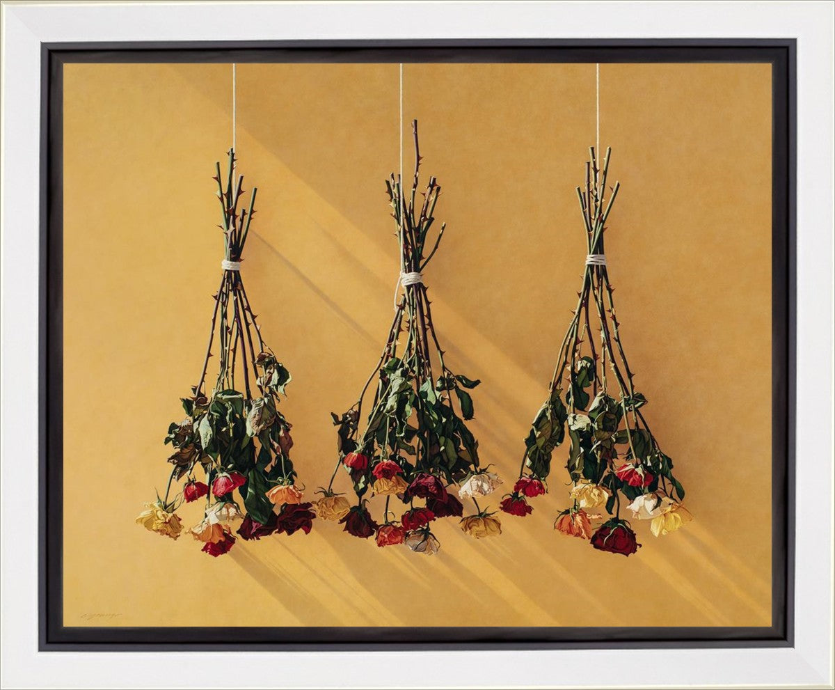 Autumn Roses