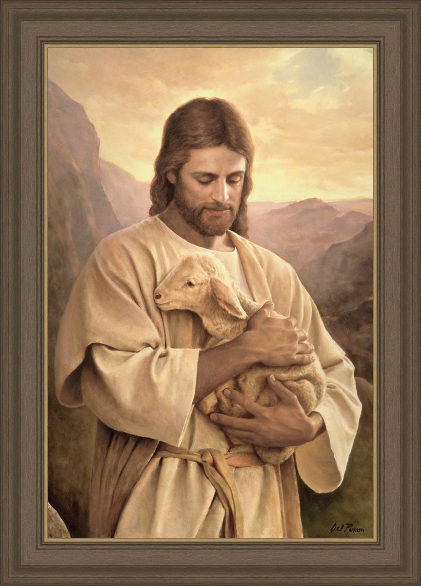 Lost Lamb