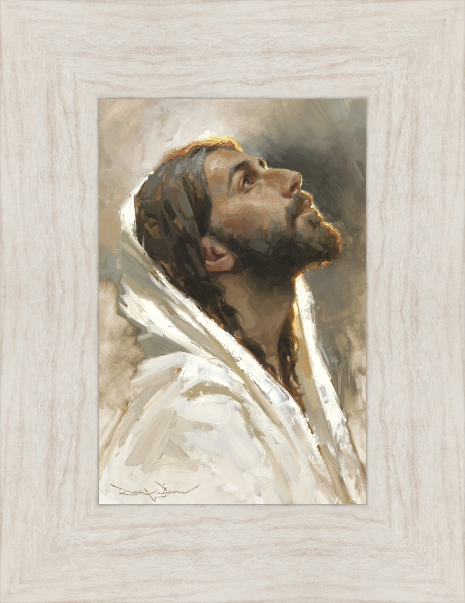 Beloved Son