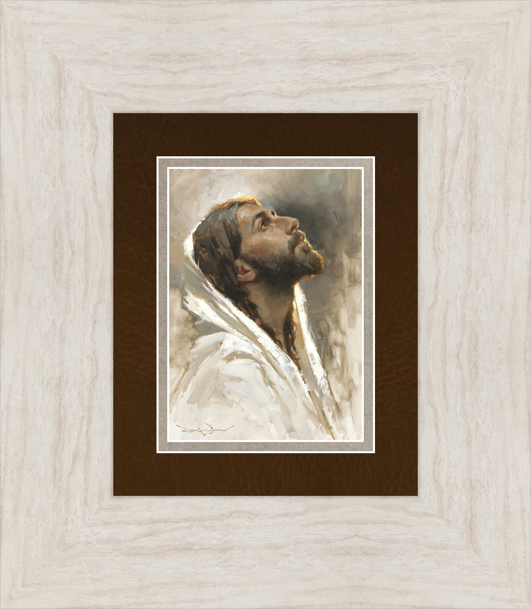 Beloved Son