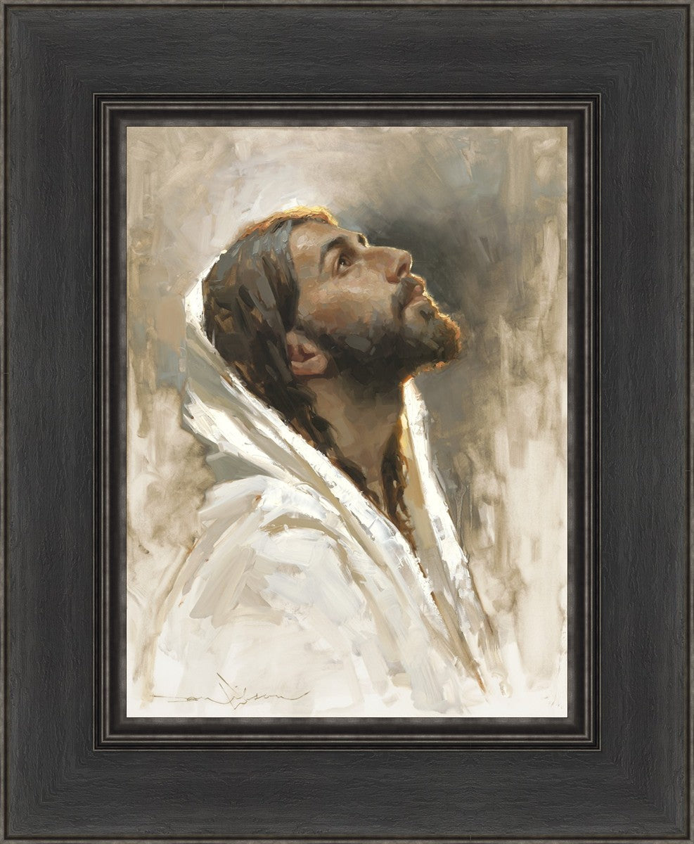 Beloved Son