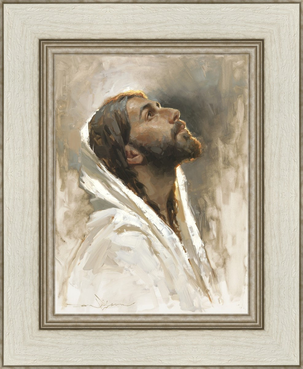 Beloved Son