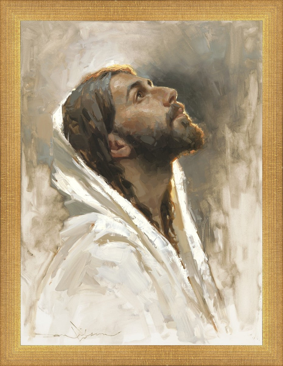 Beloved Son