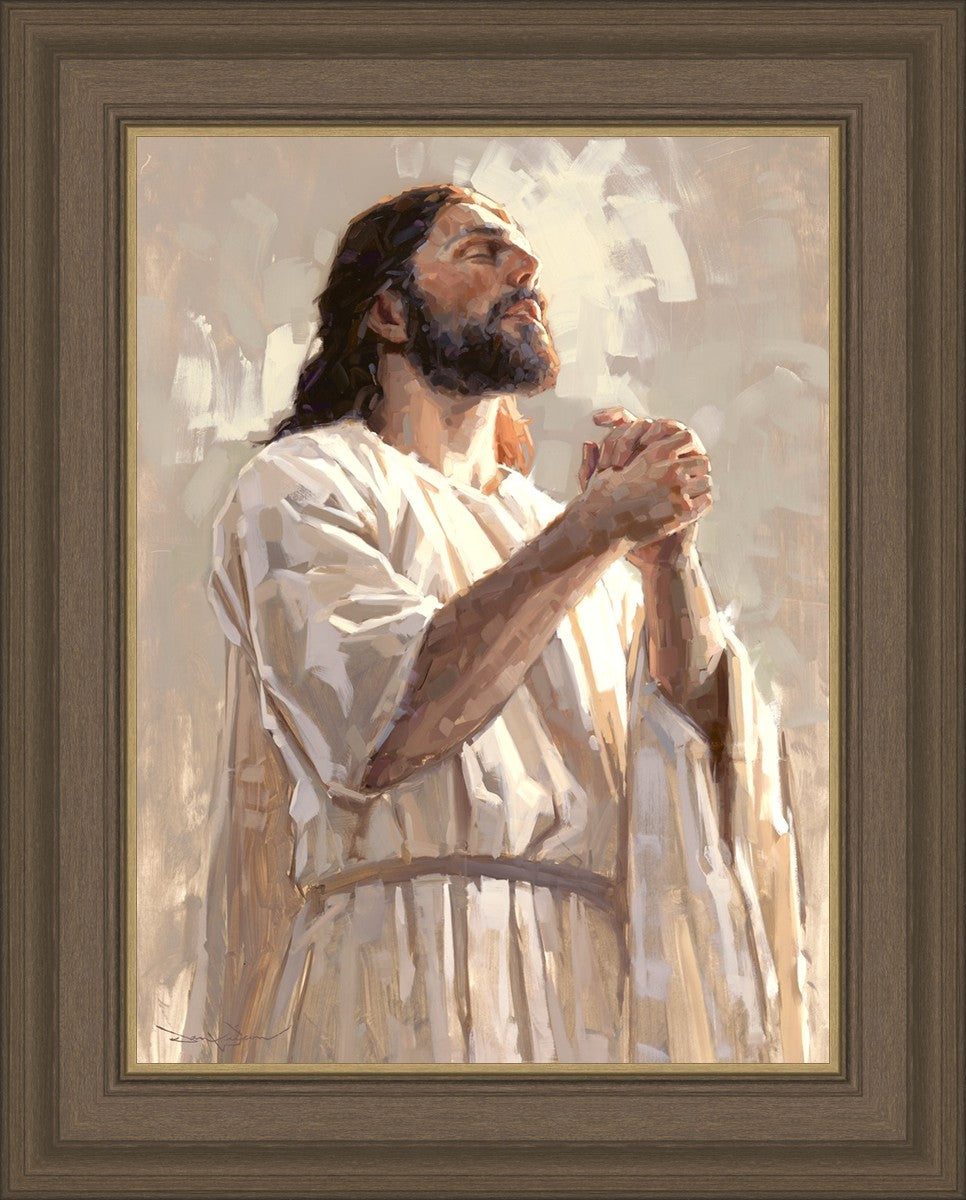 Colors of Salvation