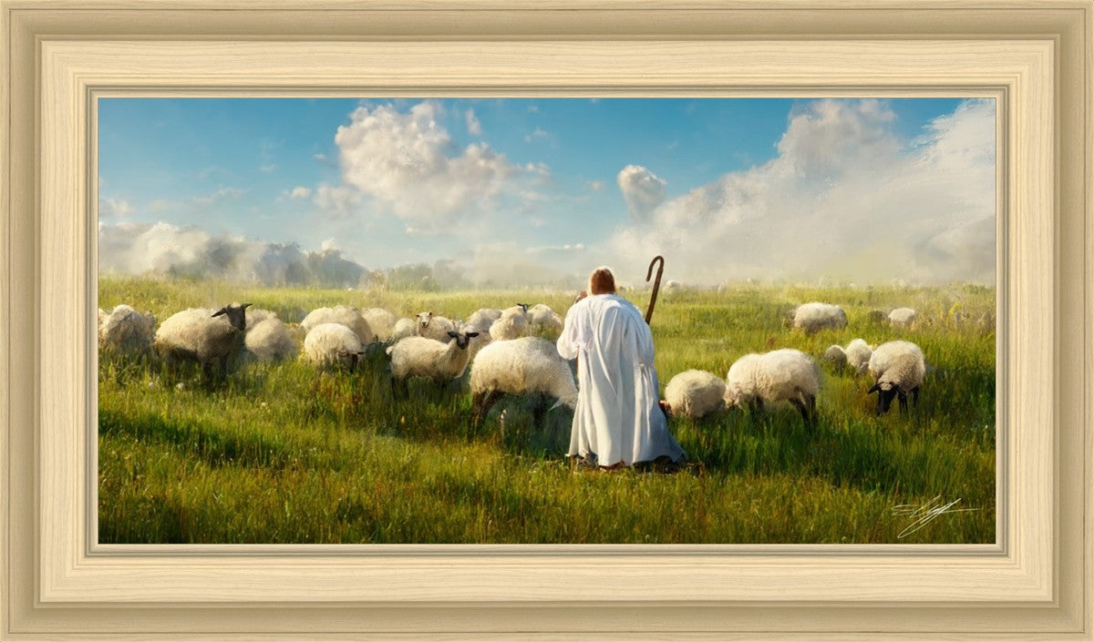 Counting Sheep