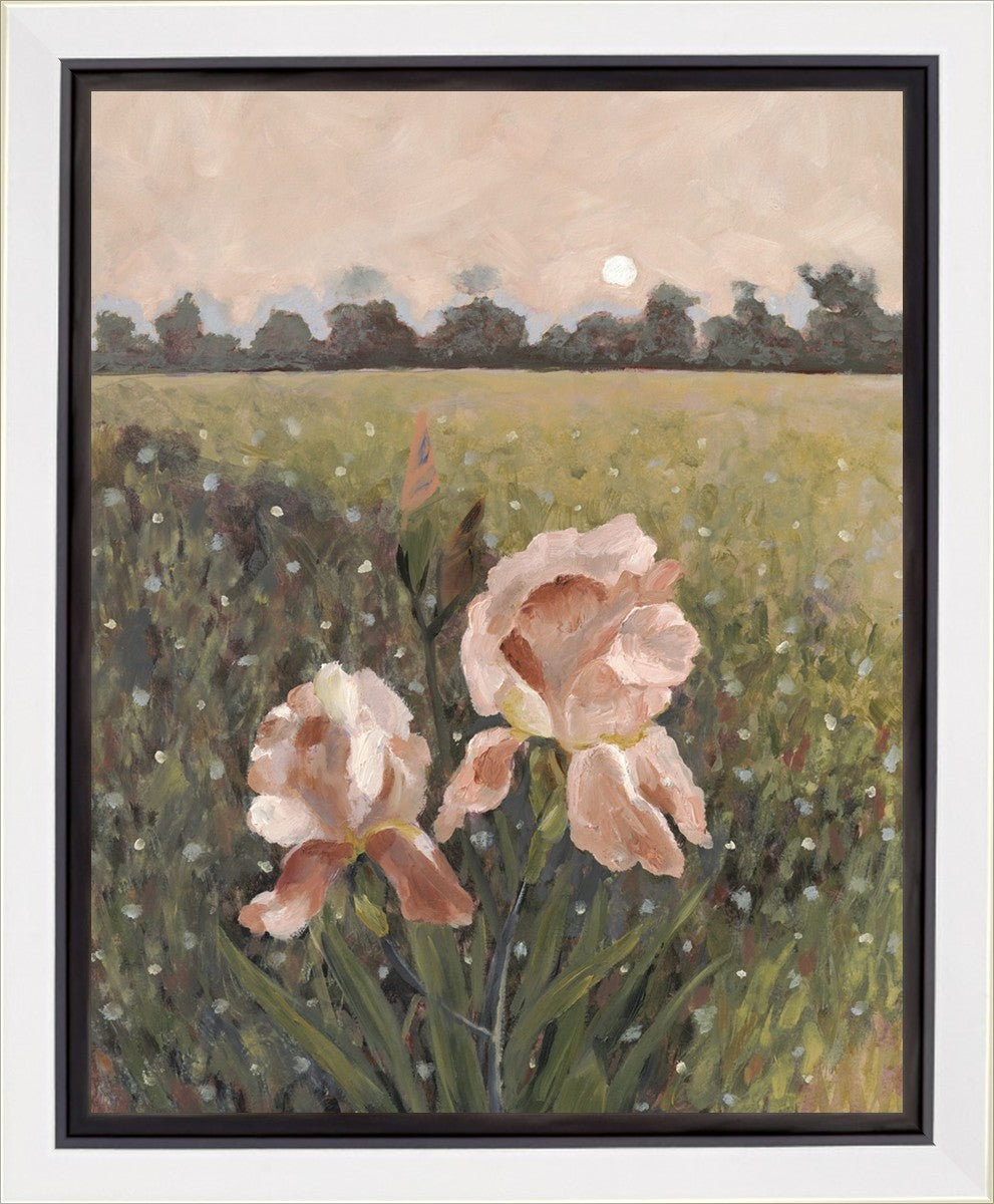 Prayer, Like a Flower Gallery Wrap