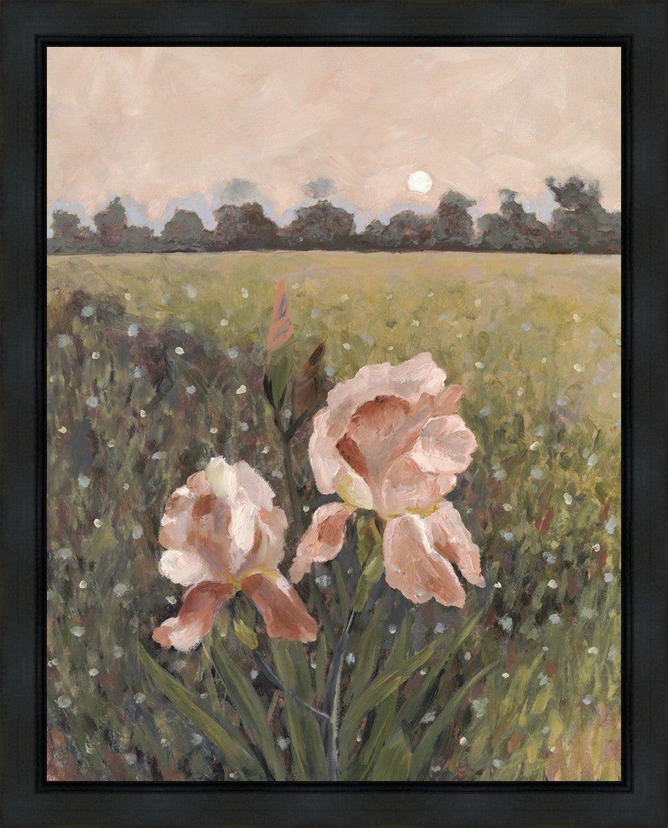 Prayer, Like a Flower Gallery Wrap