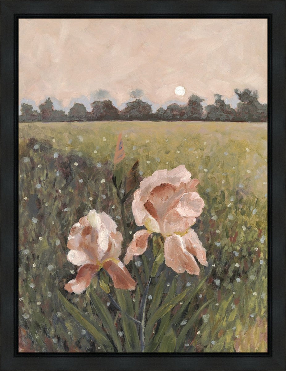 Prayer, Like a Flower Gallery Wrap