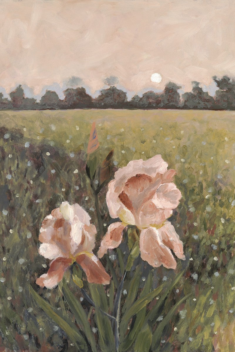 Prayer, Like a Flower Gallery Wrap