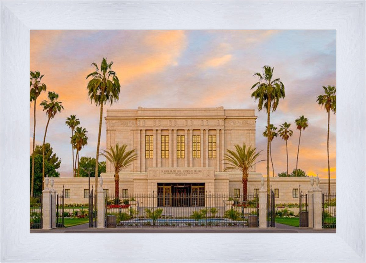 Mesa Palm Trees