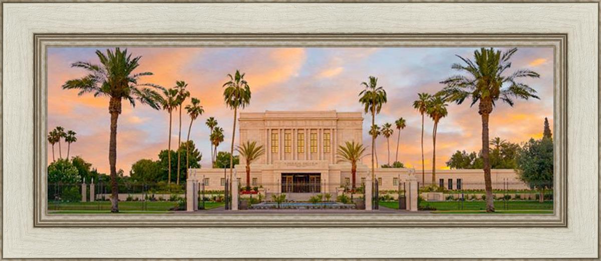 Mesa Palm Trees