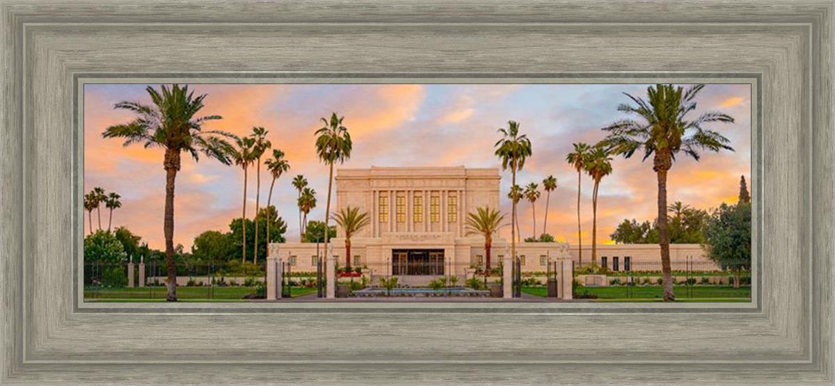 Mesa Palm Trees