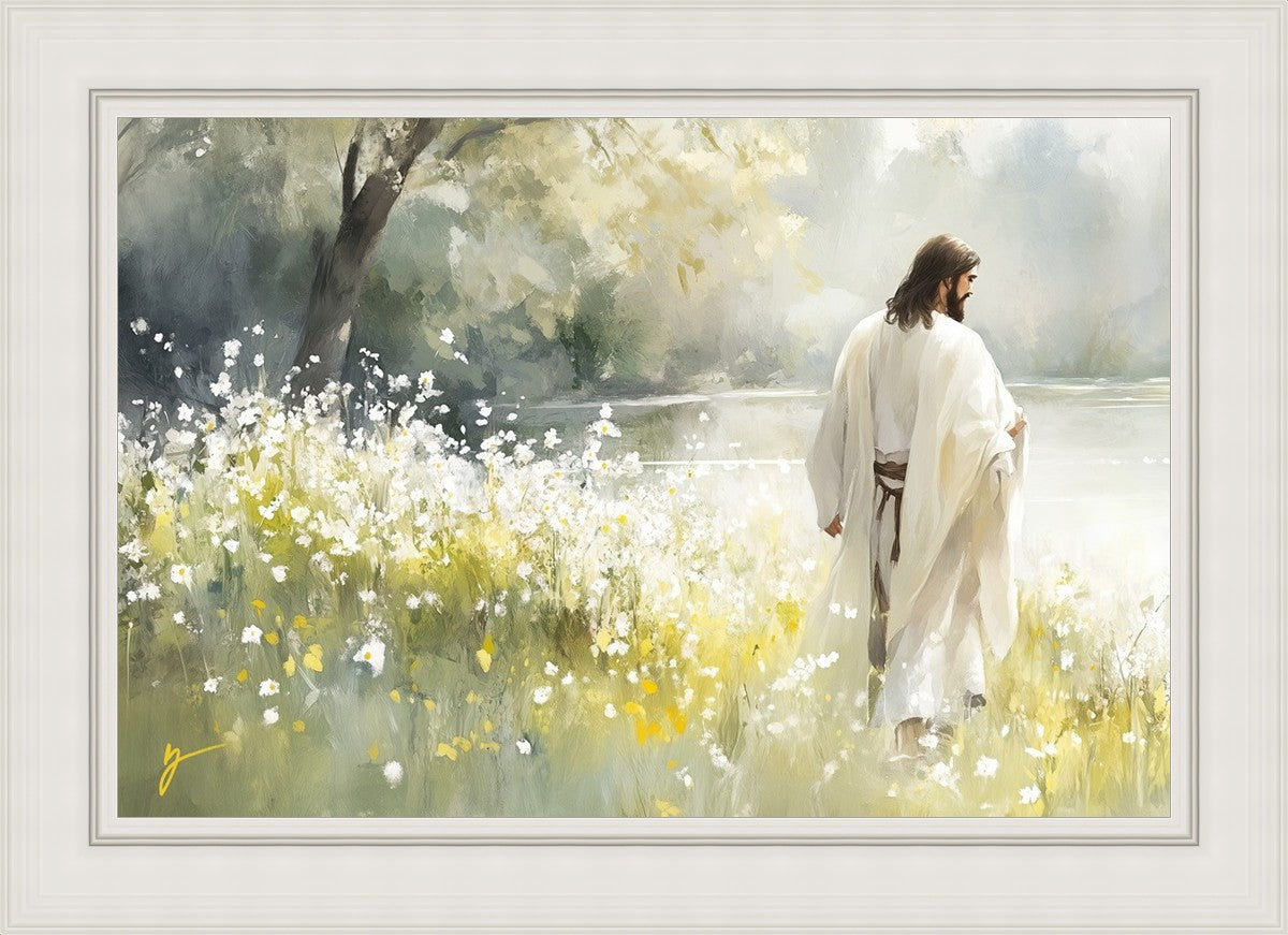 Life Anew