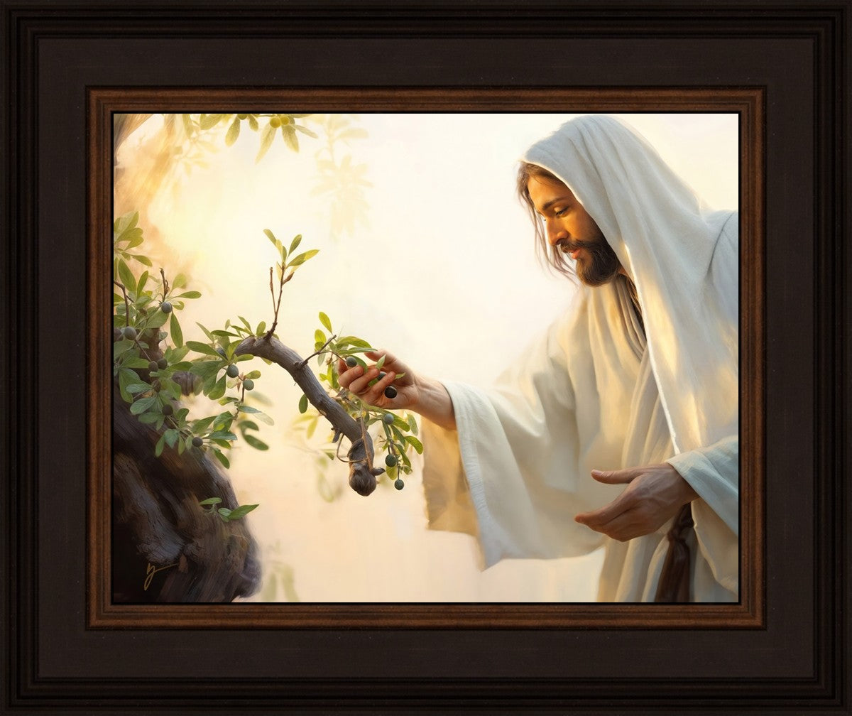 Dawn of The Harvest
