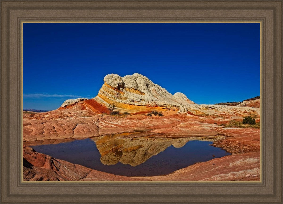 White Pocket Reflection
