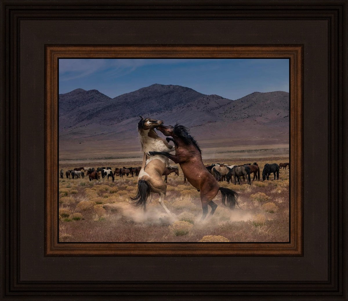 Desert Duel