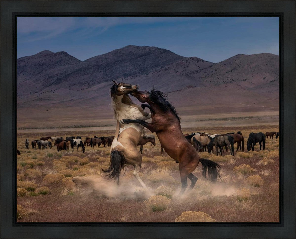 Desert Duel