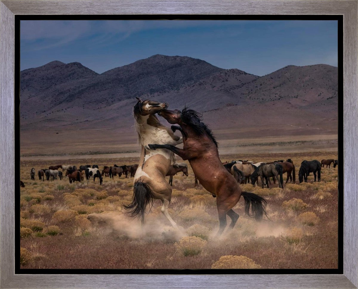 Desert Duel