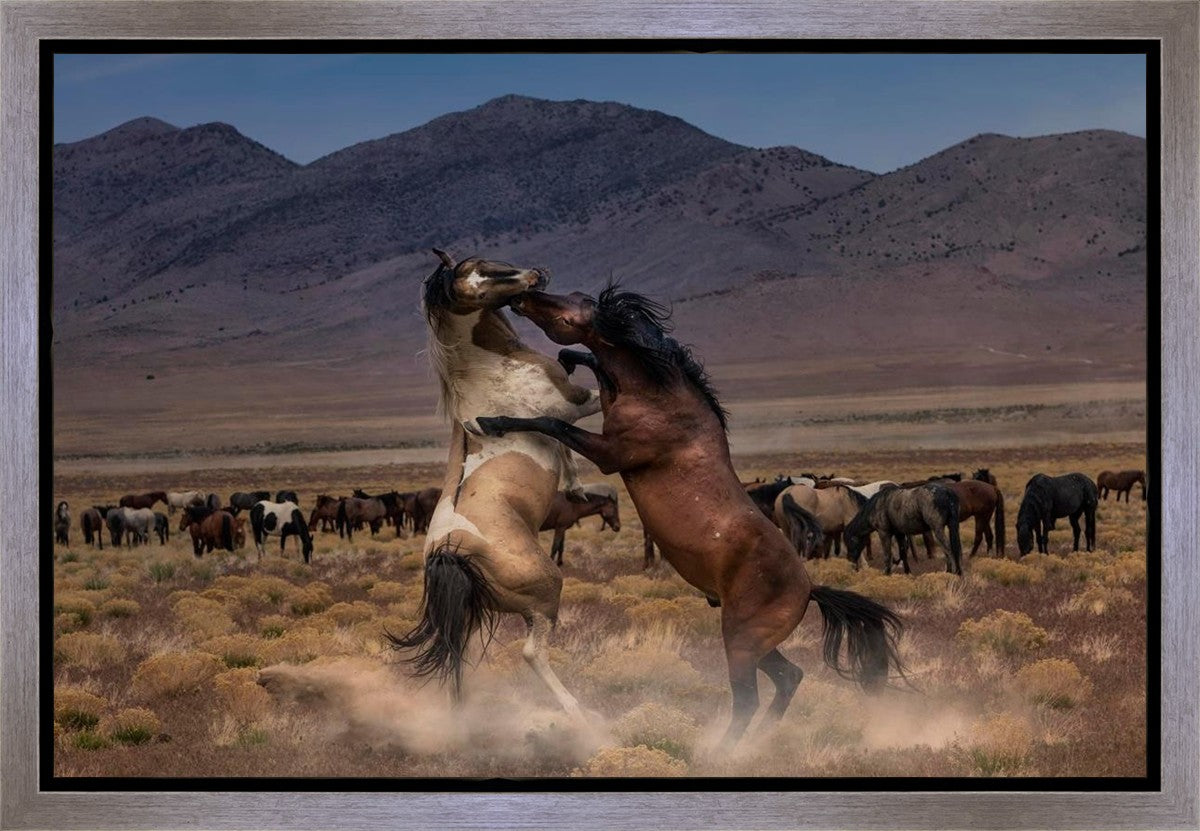 Desert Duel