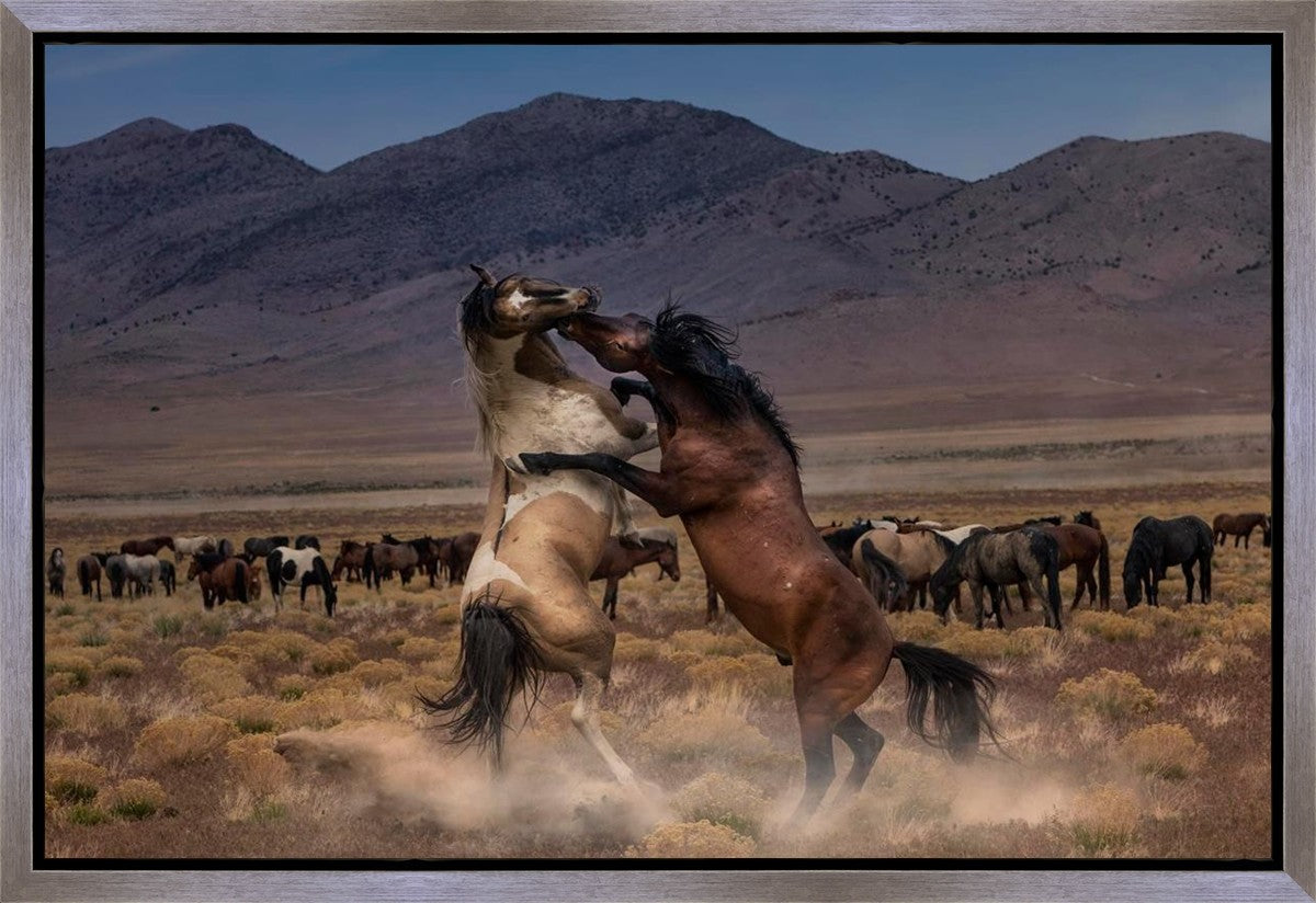 Desert Duel