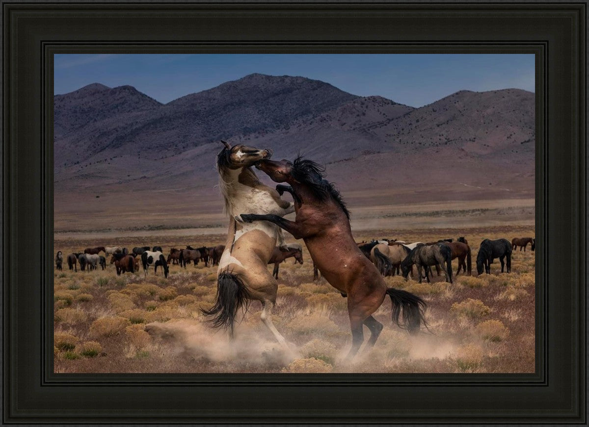 Desert Duel