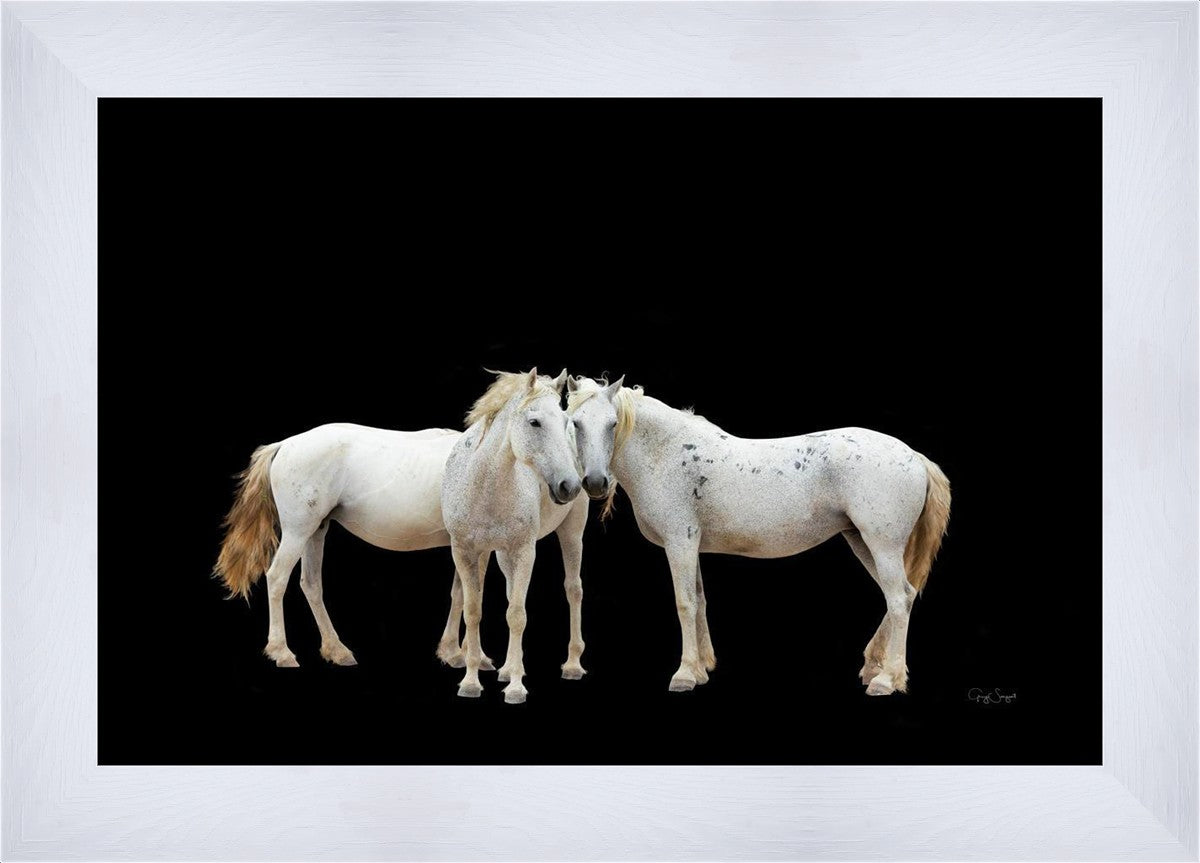 Three White Horses