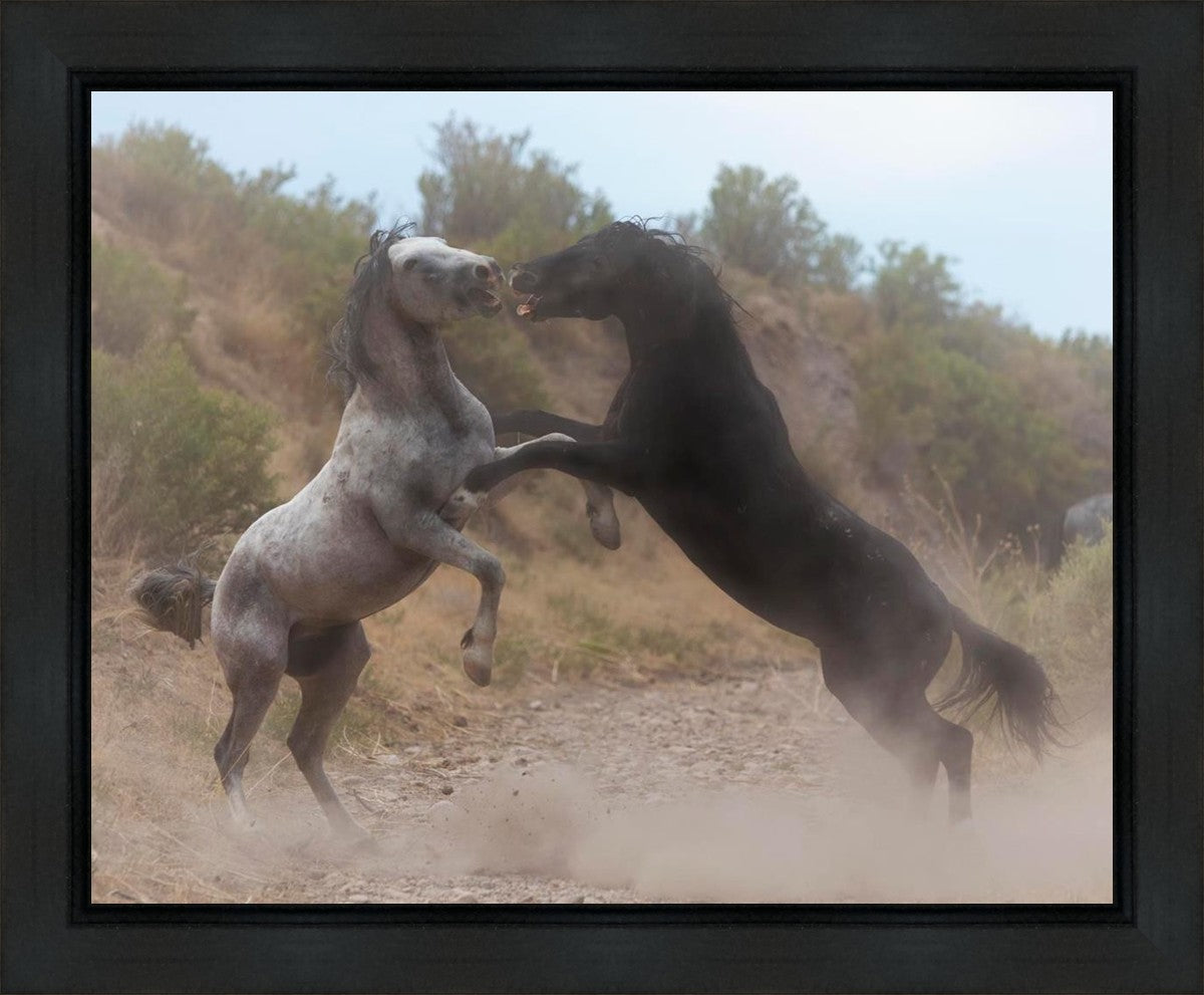 Fight In The Wash