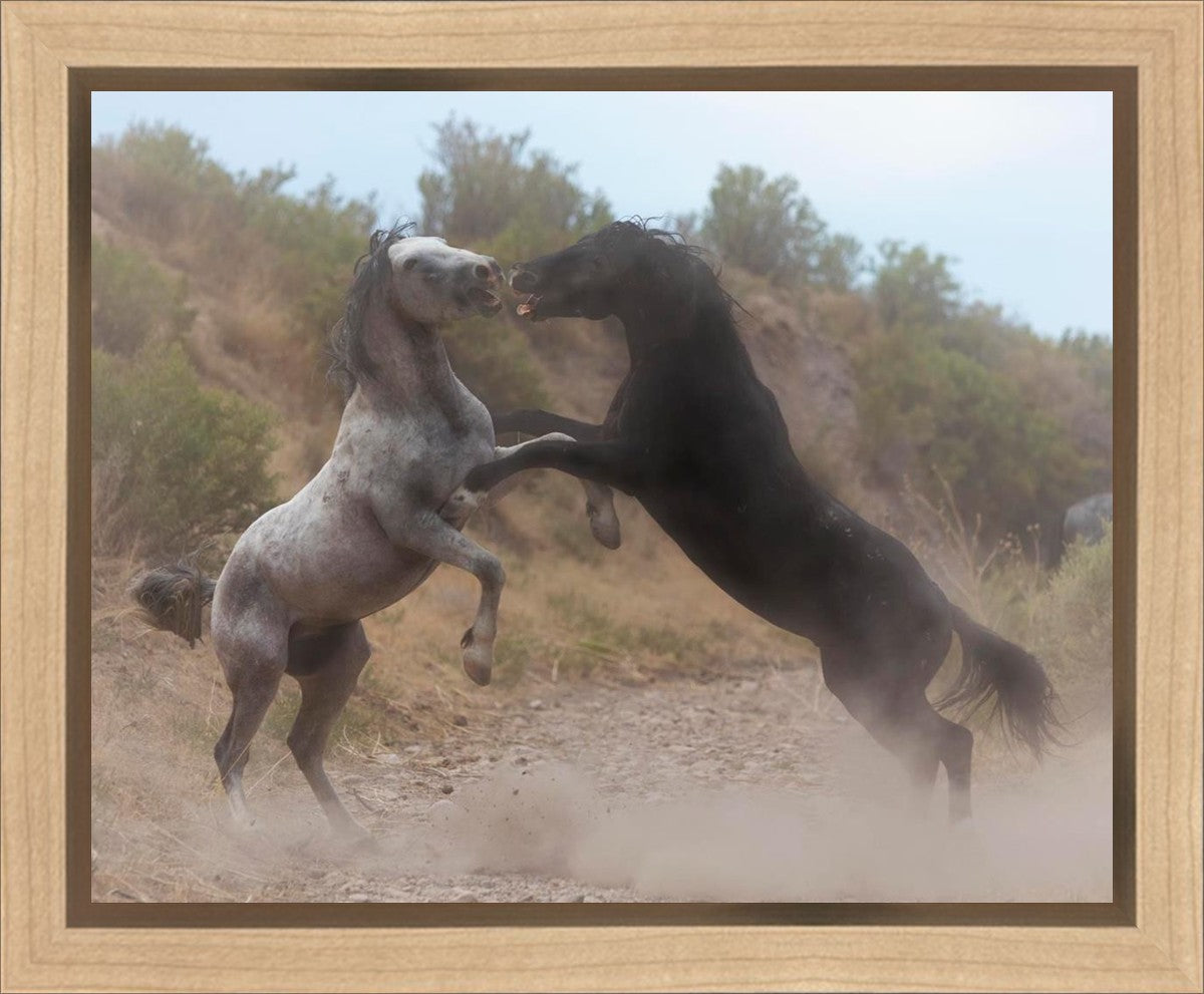 Fight In The Wash