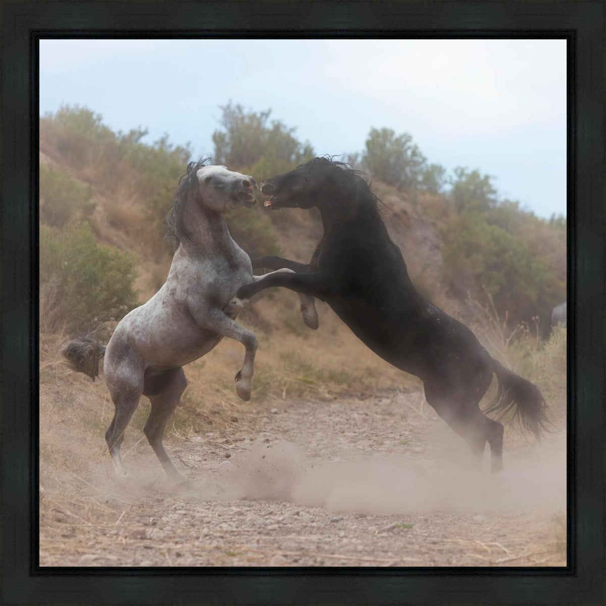 Fight In The Wash