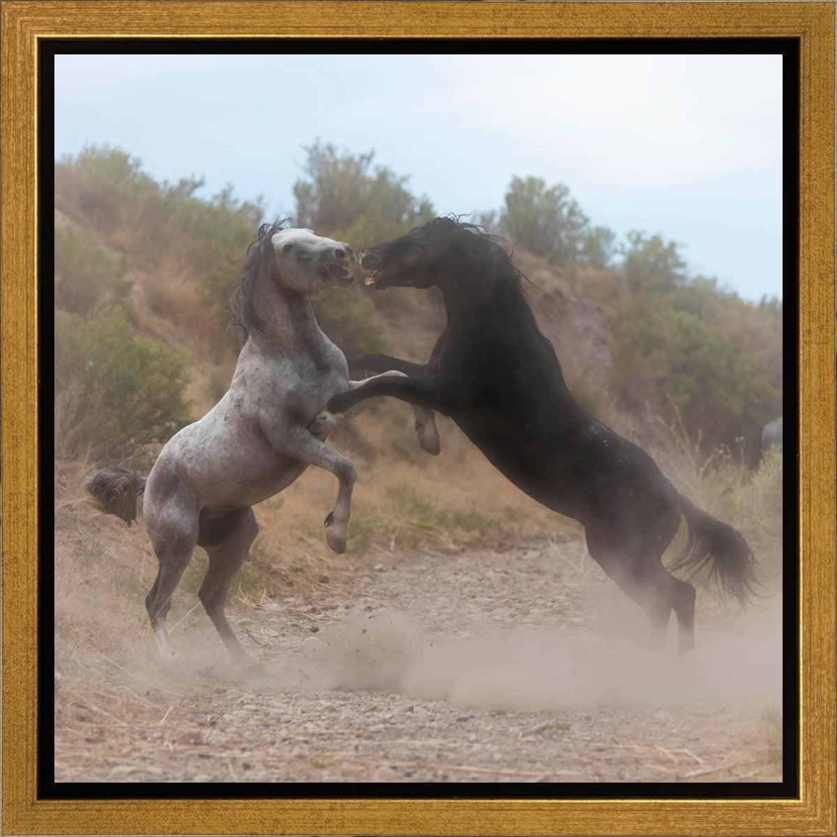 Fight In The Wash