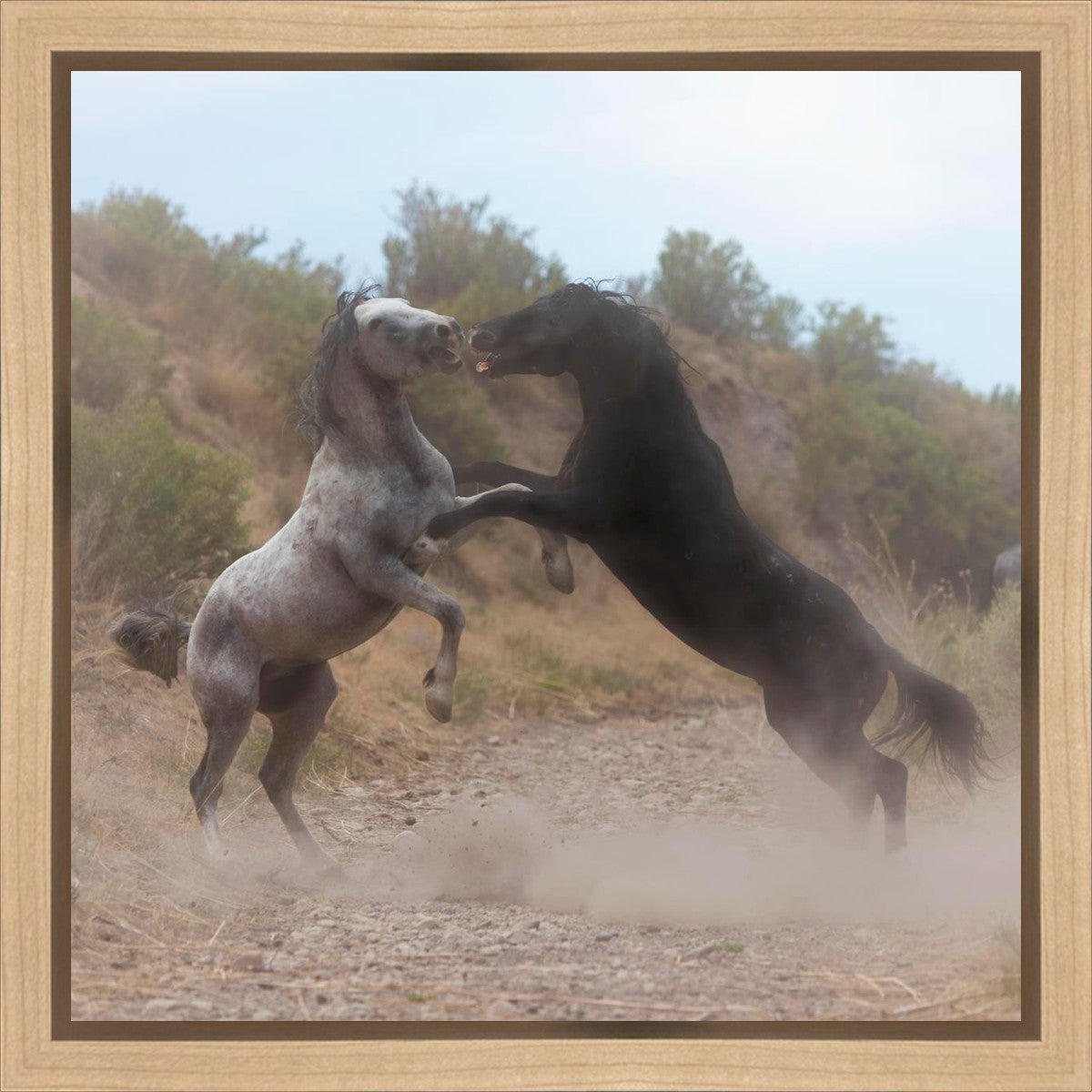 Fight In The Wash