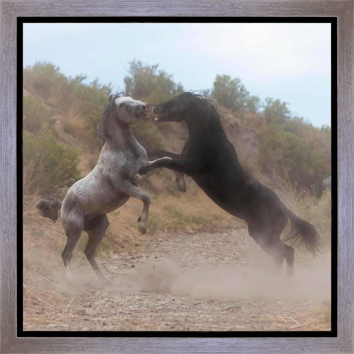 Fight In The Wash