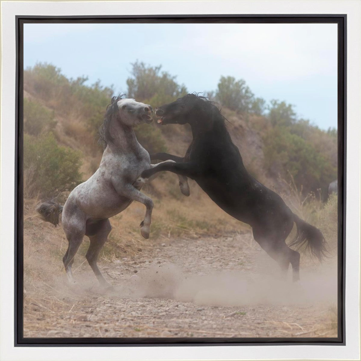 Fight In The Wash